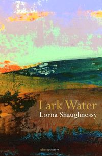 Cover image for Lark Water