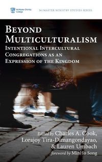 Cover image for Beyond Multiculturalism