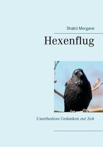 Cover image for Hexenflug: Unorthodoxe Gedanken zur Zeit