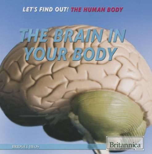 Cover image for The Brain in Your Body