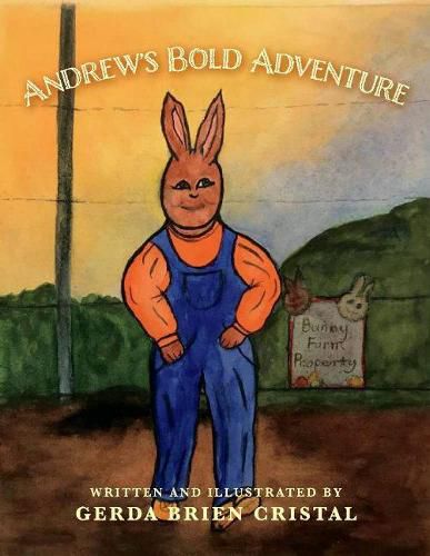 Cover image for Andrew's Bold Adventure