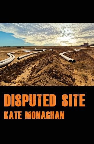 Cover image for Disputed Site