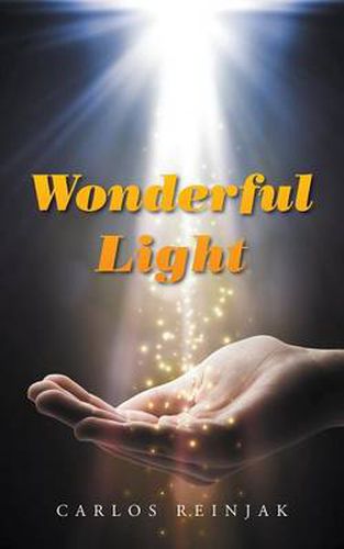 Cover image for Wonderful Light