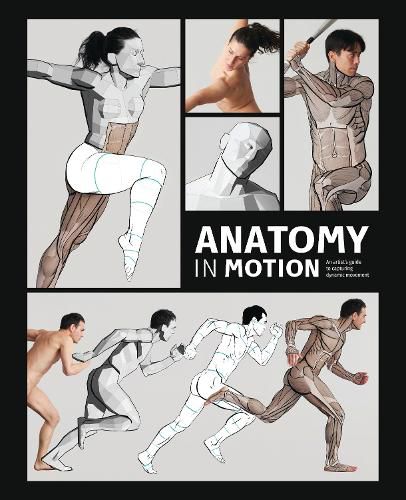 Anatomy in Motion