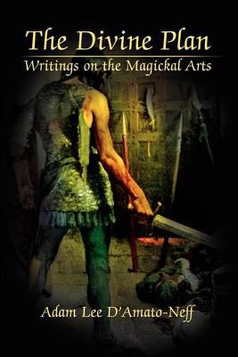 Cover image for The Divine Plan: Writings on the Magickal Arts