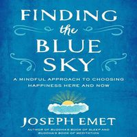 Cover image for Finding the Blue Sky