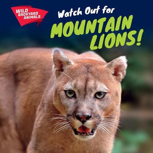 Watch Out for Mountain Lions!