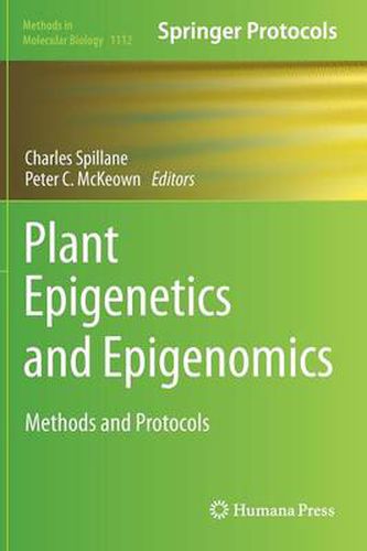 Cover image for Plant Epigenetics and Epigenomics: Methods and Protocols