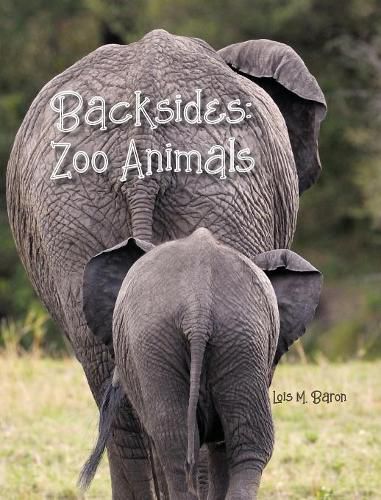 Cover image for Backsides: Zoo Animals