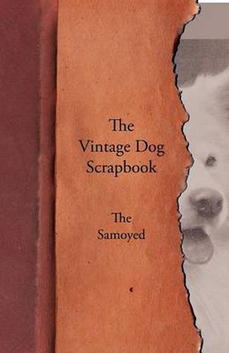 Cover image for The Vintage Dog Scrapbook - The Samoyed