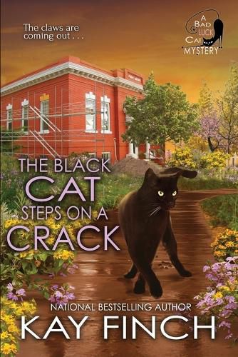 Cover image for The Black Cat Steps on a Crack