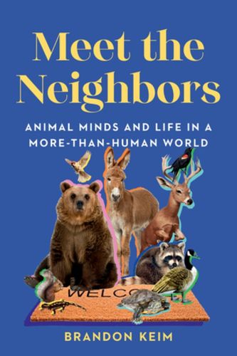 Cover image for Meet the Neighbors