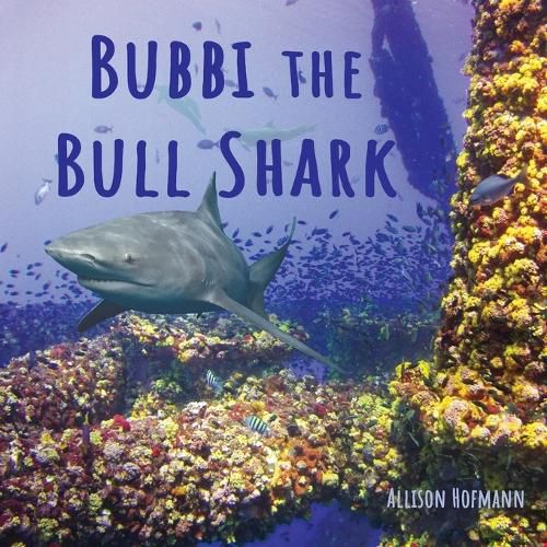 Bubbi the Bull Shark