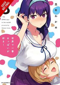 Cover image for Breasts Are My Favorite Things in the World!, Vol. 3