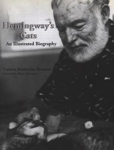 Cover image for Hemingway's Cats: An Illustrated Biography