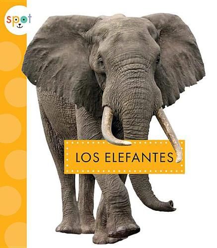 Cover image for Los Elefantes