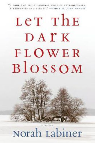 Cover image for Let the Dark Flower Blossom