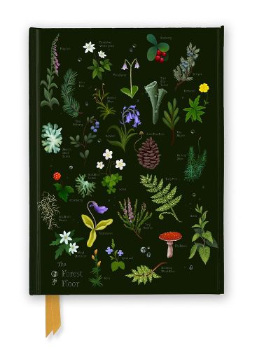 Cover image for Anna Stead: The Forest Floor (Foiled Journal)