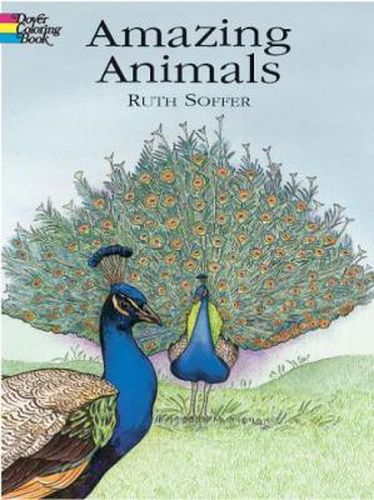 Cover image for Amazing Animals Coloring Book