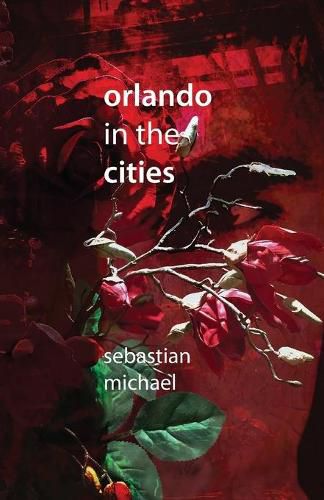 Cover image for Orlando in the Cities