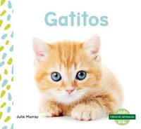 Cover image for Gatitos / Kittens