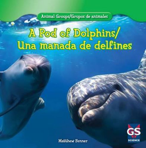 Cover image for A Pod of Dolphins / Una Manada de Delfines