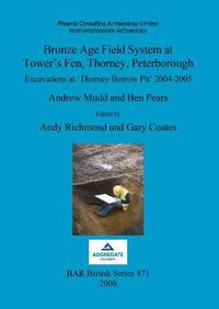 Cover image for Bronze Age field system at Tower's Fen, Thorney, Peterborough: Excavations at 'Thorney Borrow Pit' 2004-2005