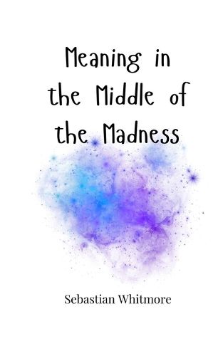 Cover image for Meaning in the Middle of the Madness