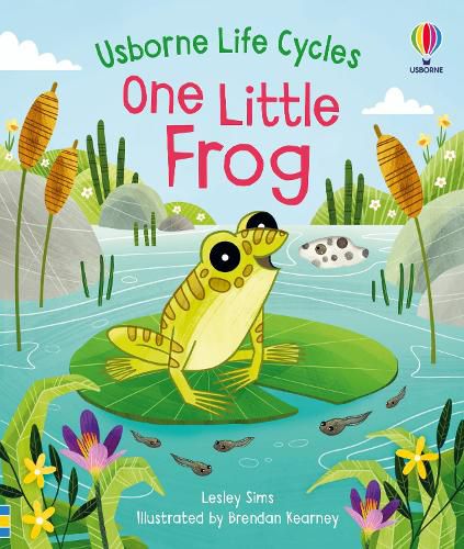 Cover image for One Little Frog