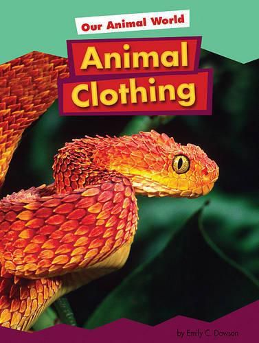 Cover image for Animal Clothing