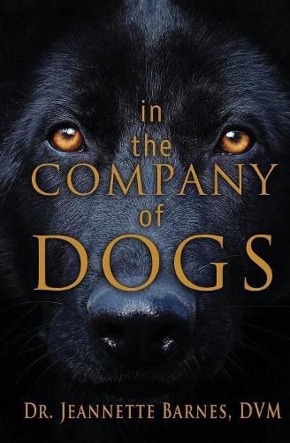 Cover image for In the Company of Dogs