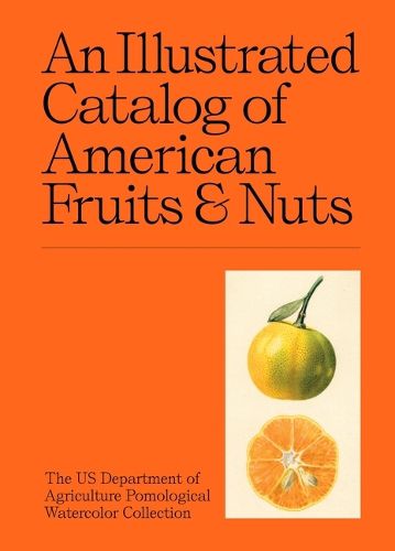 Cover image for An Illustrated Catalog of American Fruits & Nuts