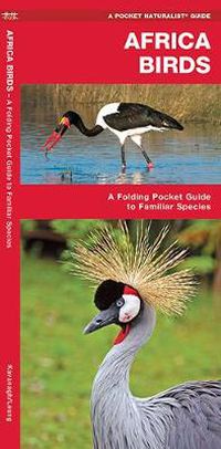 Cover image for African Birds: A Folding Pocket Guide to Familiar Species