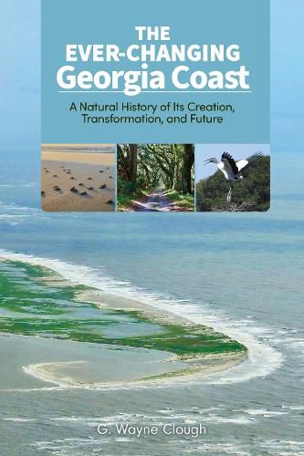 Cover image for The Ever-Changing Georgia Coast
