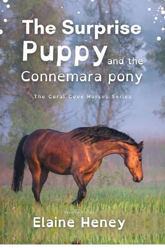 The Surprise Puppy and the Connemara Pony - Dyslexia Friendly