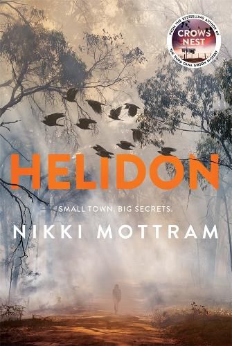 Cover image for Helidon