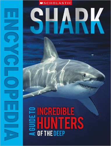 Cover image for Encyclopedia of Sharks (Miles Kelly)