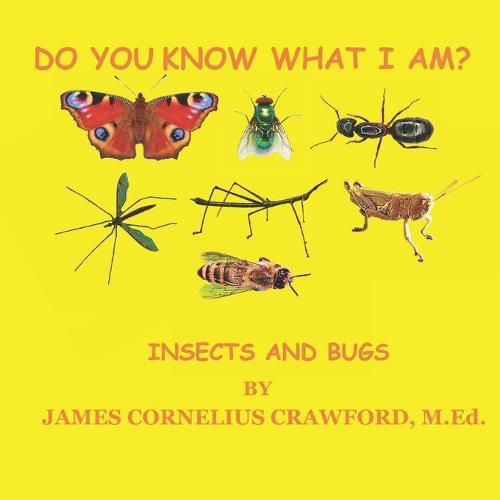 Cover image for Do You Know What I Am?: Insects and Bugs