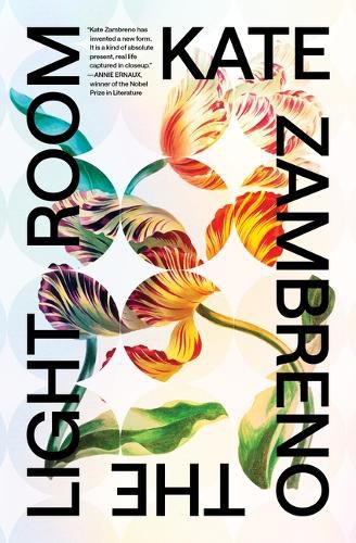 Cover image for The Light Room
