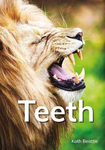 Cover image for Teeth