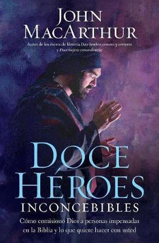 Cover image for Doce heroes inconcebibles: Como comisiono Dios a personas impensadas en la Biblia y lo que quiere hacer con usted