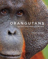 Cover image for Orangutans