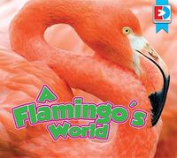 Cover image for A Flamingo's World