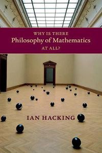 Cover image for Why Is There Philosophy of Mathematics At All?