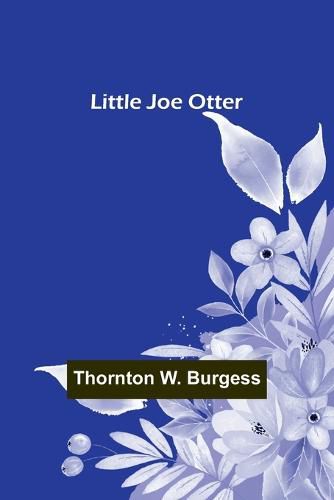 Cover image for Little Joe Otter