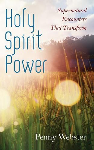 Cover image for Holy Spirit Power: Supernatural Encounters That Transform