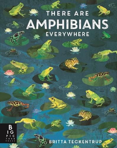 Cover image for There Are Amphibians Everywhere