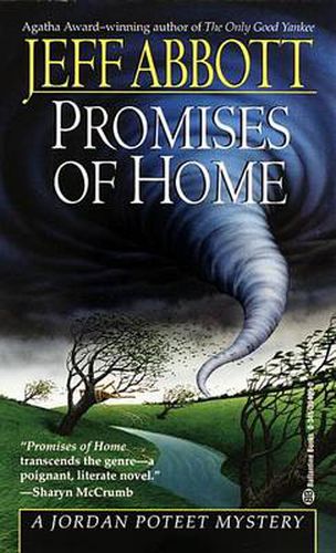 Cover image for Promises Of Home