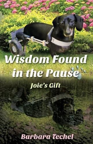 Cover image for Wisdom Found in the Pause: Joie's Gift