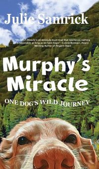 Cover image for Murphy's Miracle